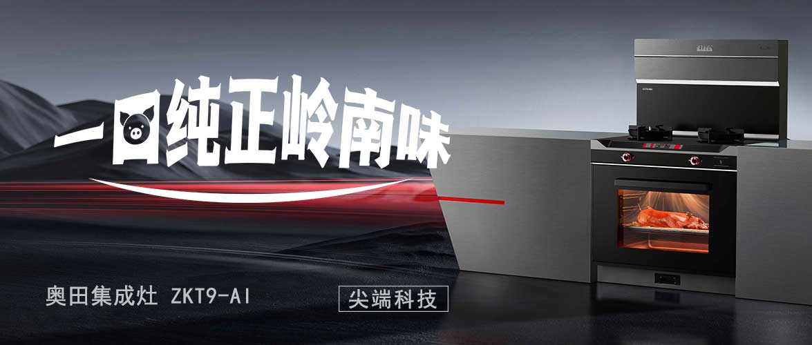 奧田集成灶ZKT9-AI丨精準復刻嶺南風味炙烤頂流，烤乳豬皮脆肉嫩